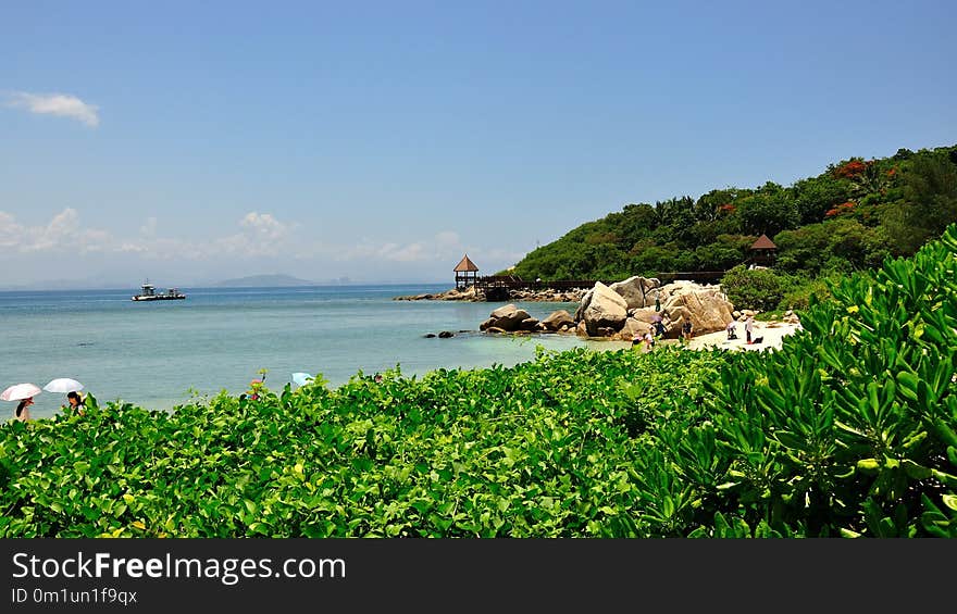 Coast, Sea, Body Of Water, Vegetation