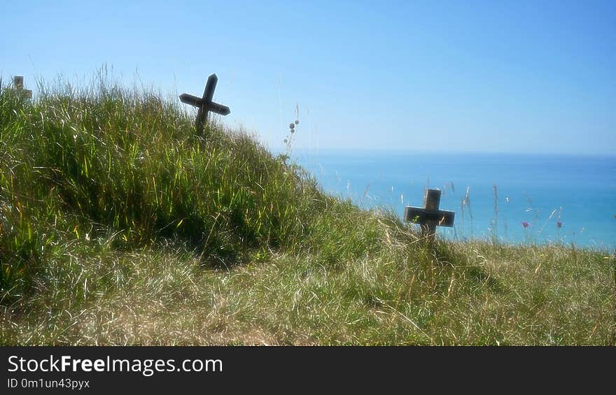 Ecosystem, Coast, Shore, Grass