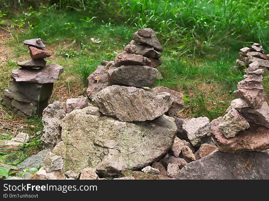 Rock, Grass, Plant, Tree