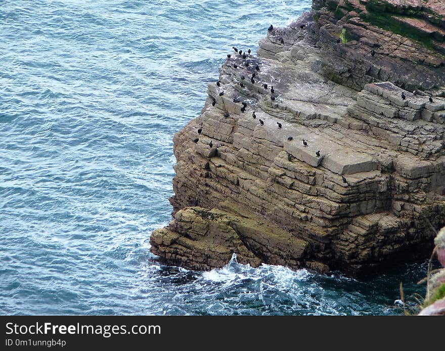 Coast, Cliff, Sea, Coastal And Oceanic Landforms