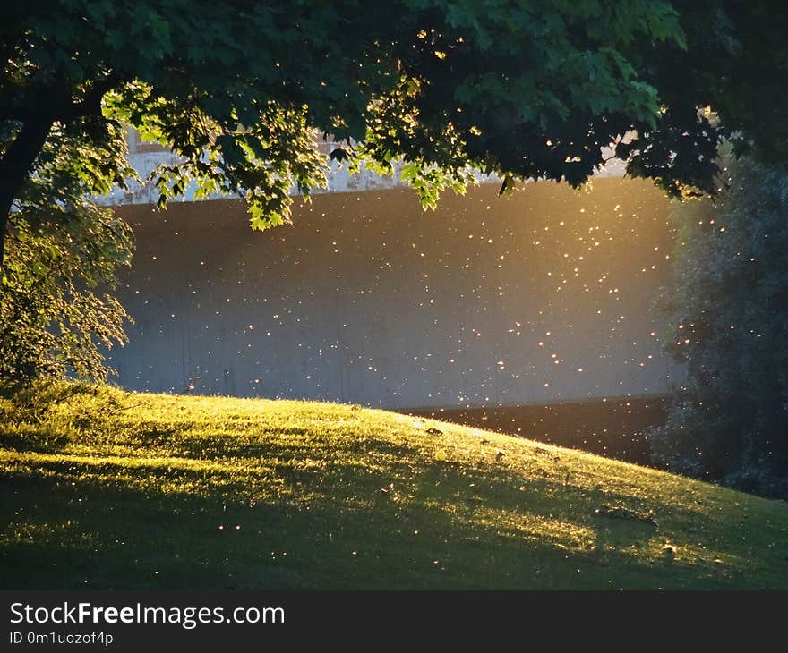 Water, Nature, Reflection, Atmosphere