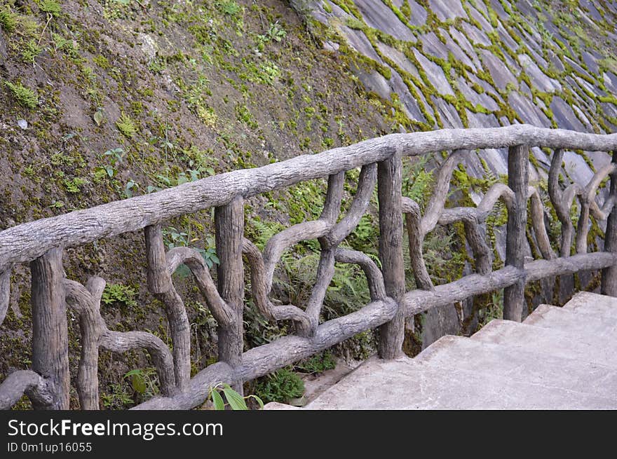 Tree, Fence, Grass, Plant