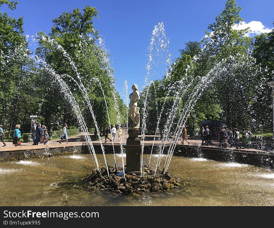 Water, Plant, Tree, Fountain