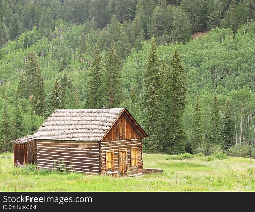 Ecosystem, Log Cabin, Property, Hut