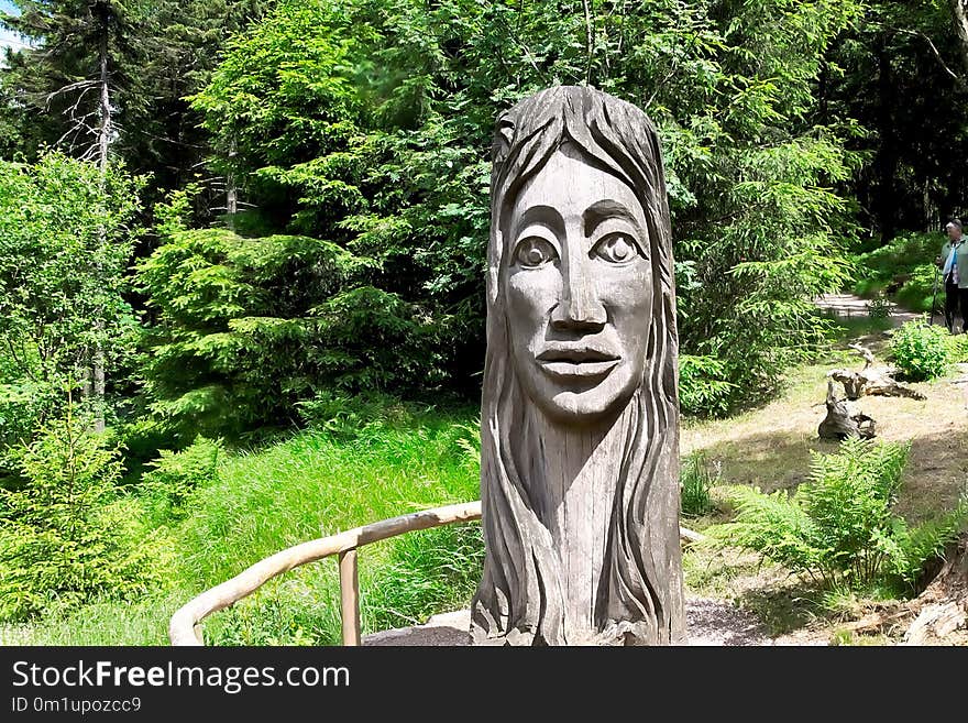 Sculpture, Tree, Statue, Monument