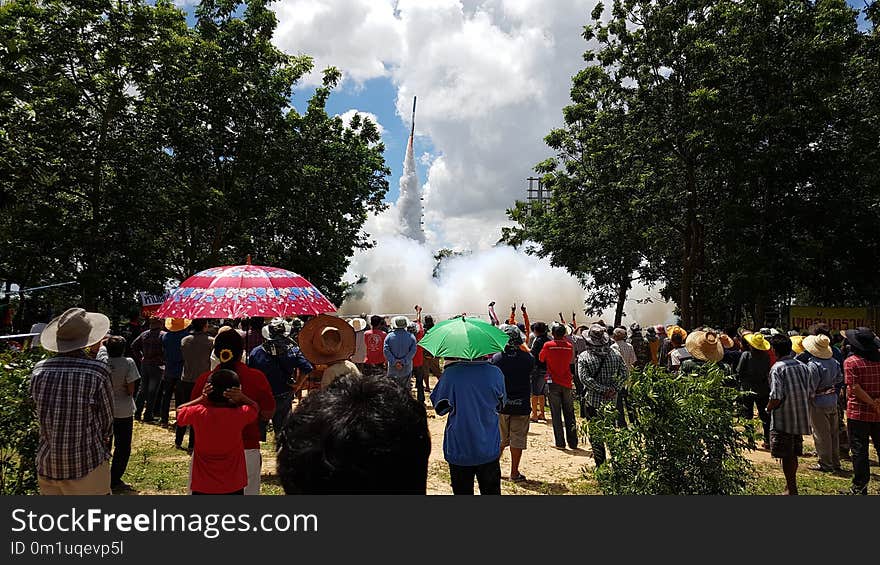 Crowd, Tree, Festival, Plant