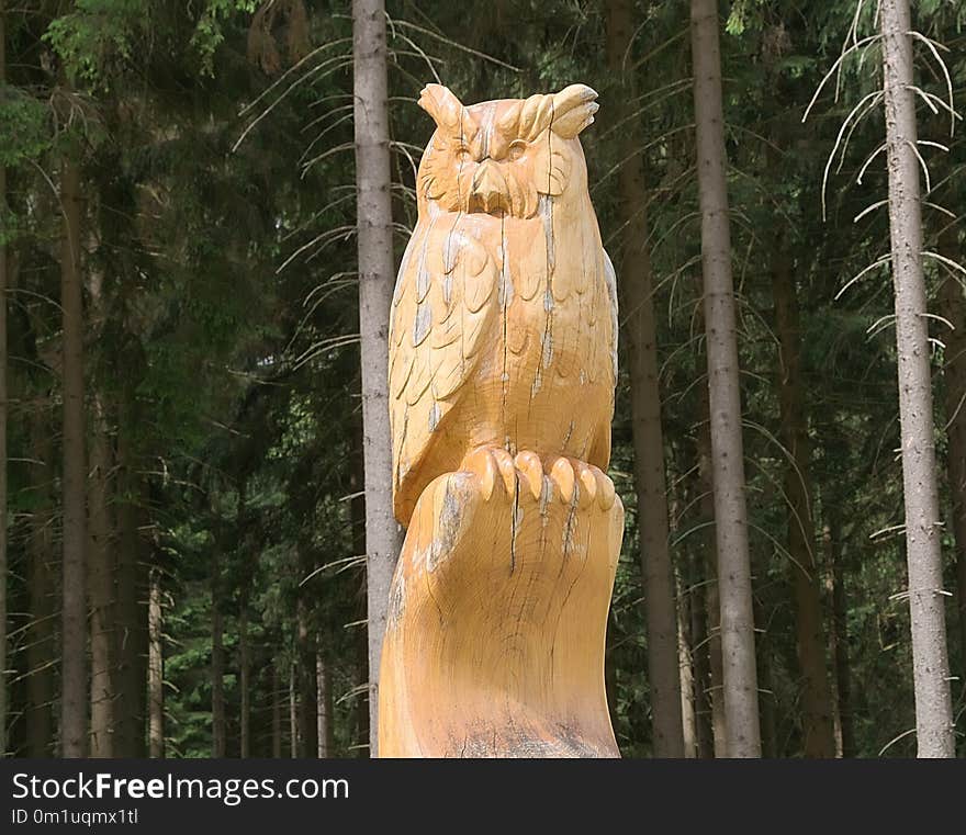 Sculpture, Carving, Chainsaw Carving, Tree