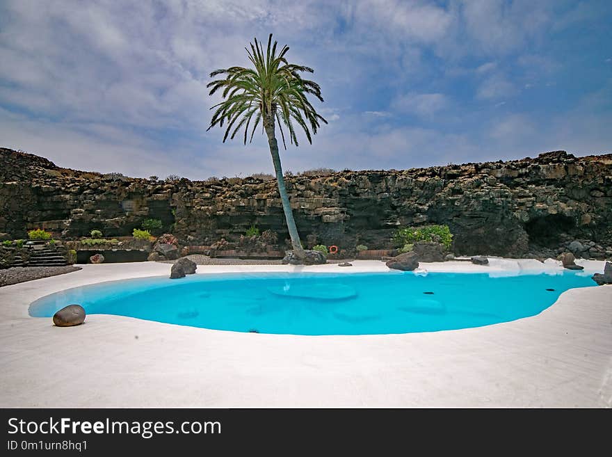 Swimming Pool, Property, Resort, Palm Tree