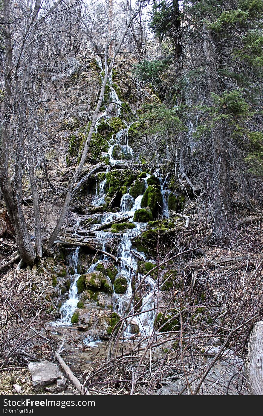 Water, Vegetation, Tree, Nature Reserve