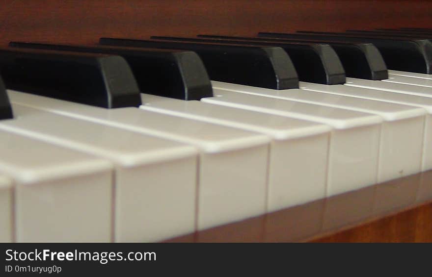 Piano, Musical Instrument, Keyboard, Digital Piano