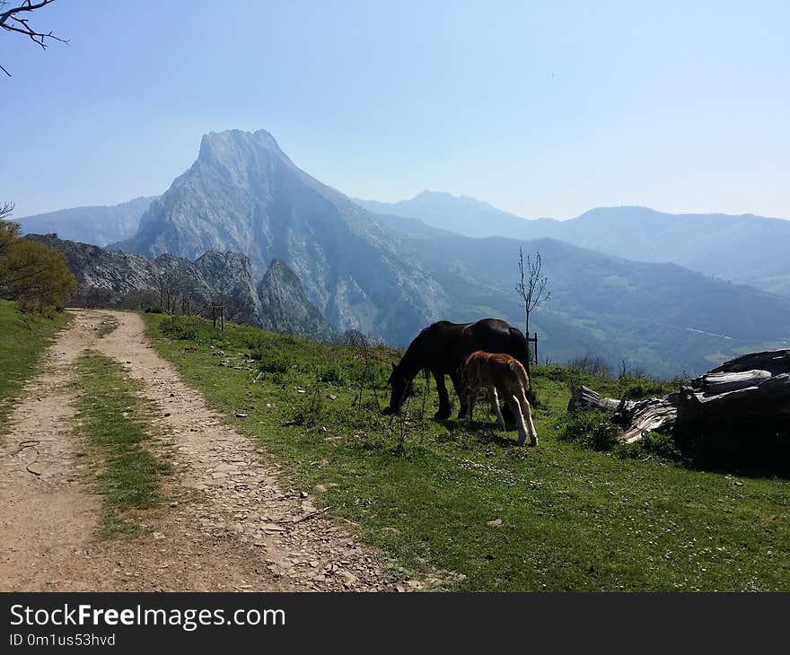 Mountainous Landforms, Mountain, Wilderness, Pasture