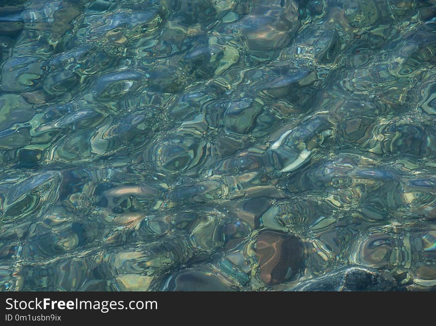 Water, Green, Underwater, Marine Biology