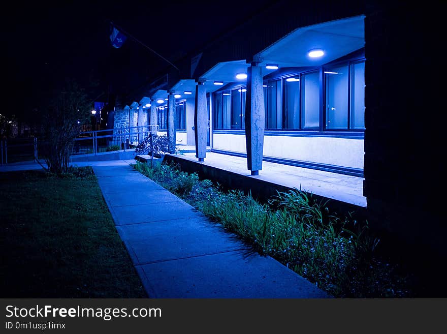 Blue, Night, Light, Architecture