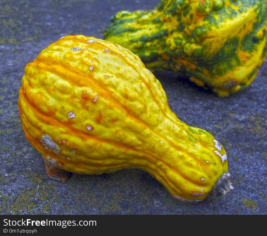 Yellow, Cucumber Gourd And Melon Family, Winter Squash, Cucurbita