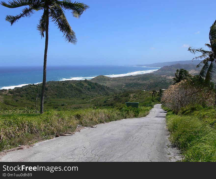 Coast, Vegetation, Sky, Promontory