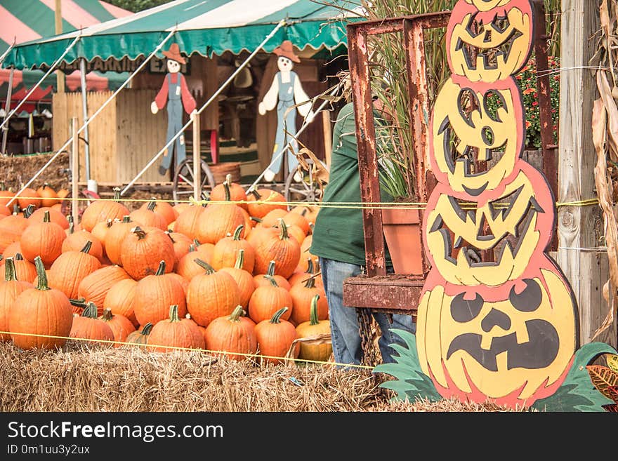 Pumpkin, Local Food, Marketplace, Produce