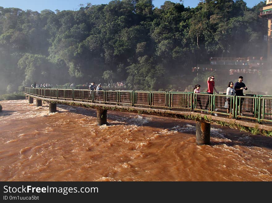 River, Bridge, Water, Tree