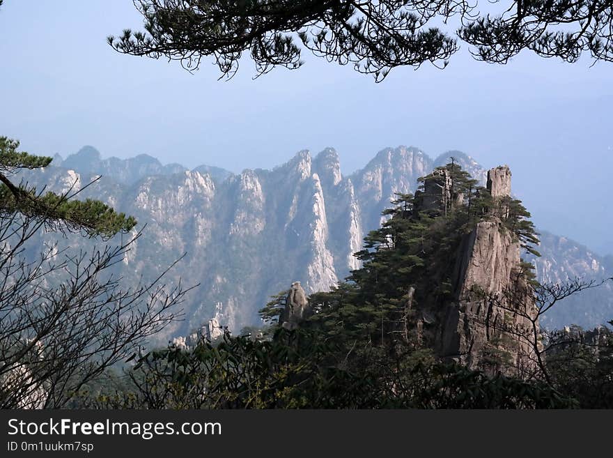 Mountainous Landforms, Mountain, Tree, Hill Station