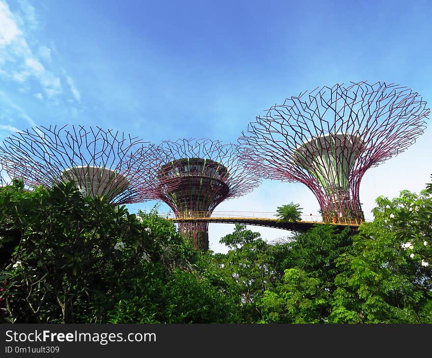 Sky, Nature, Tree, Landmark