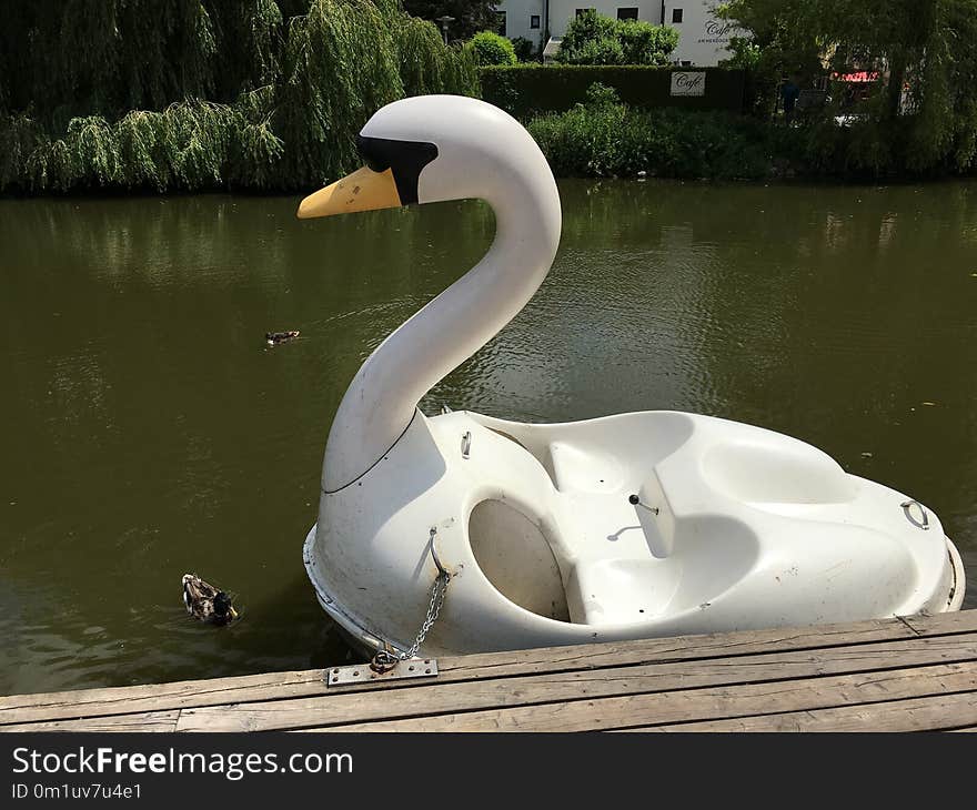 Swan Boat, Water, Water Bird, Swan