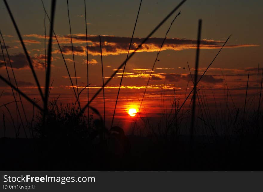 Sky, Sunrise, Sunset, Sun