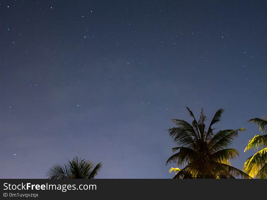 Sky, Atmosphere, Night, Astronomical Object