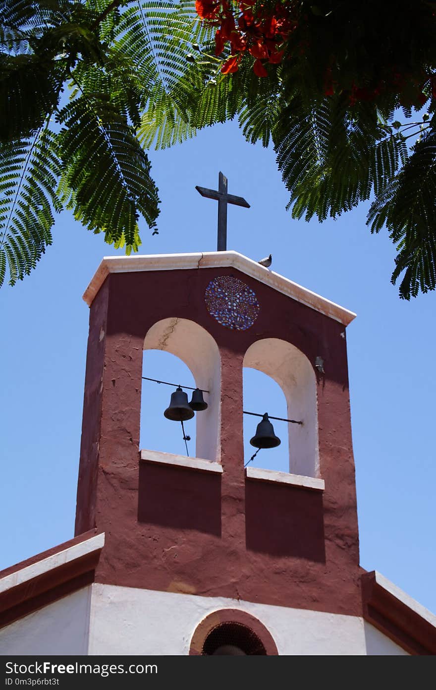 Church Bell, Sky, Arecales, Tree