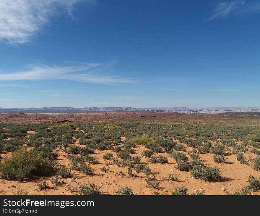 Sky, Ecosystem, Shrubland, Vegetation