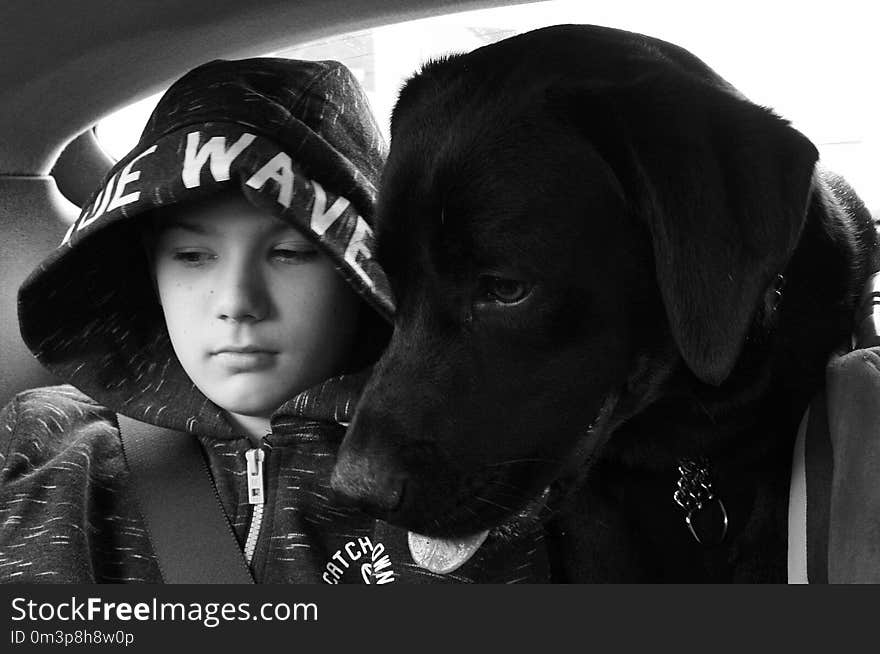 Black, Photograph, Black And White, Dog