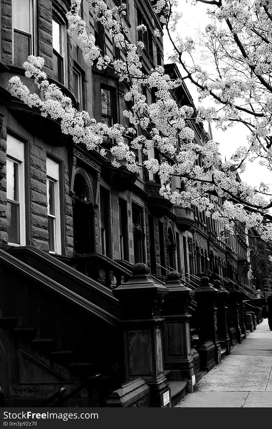 Black And White, Landmark, Monochrome Photography, Infrastructure