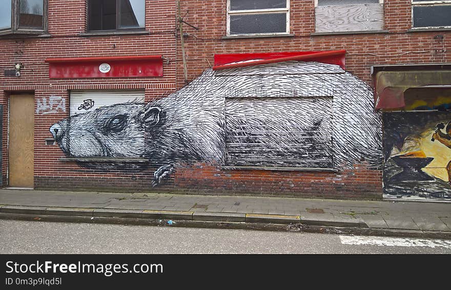 Street Art, Art, Graffiti, Snout