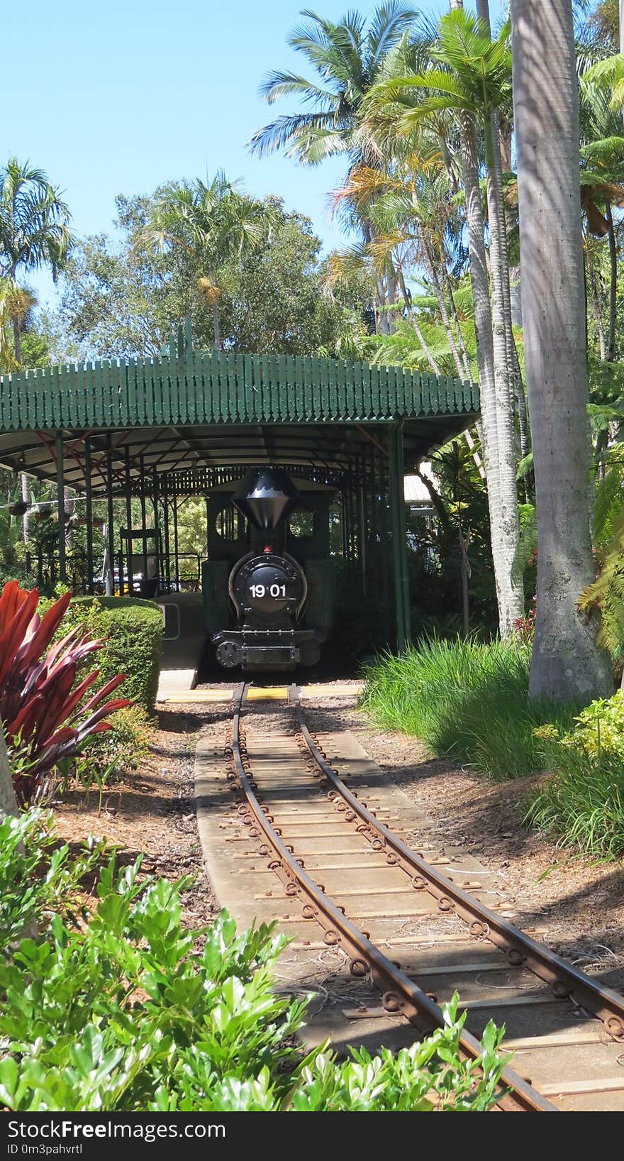 Transport, Plant, Tree, Track