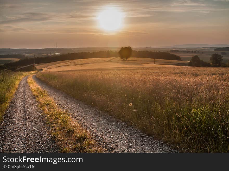 Sky, Road, Field, Morning