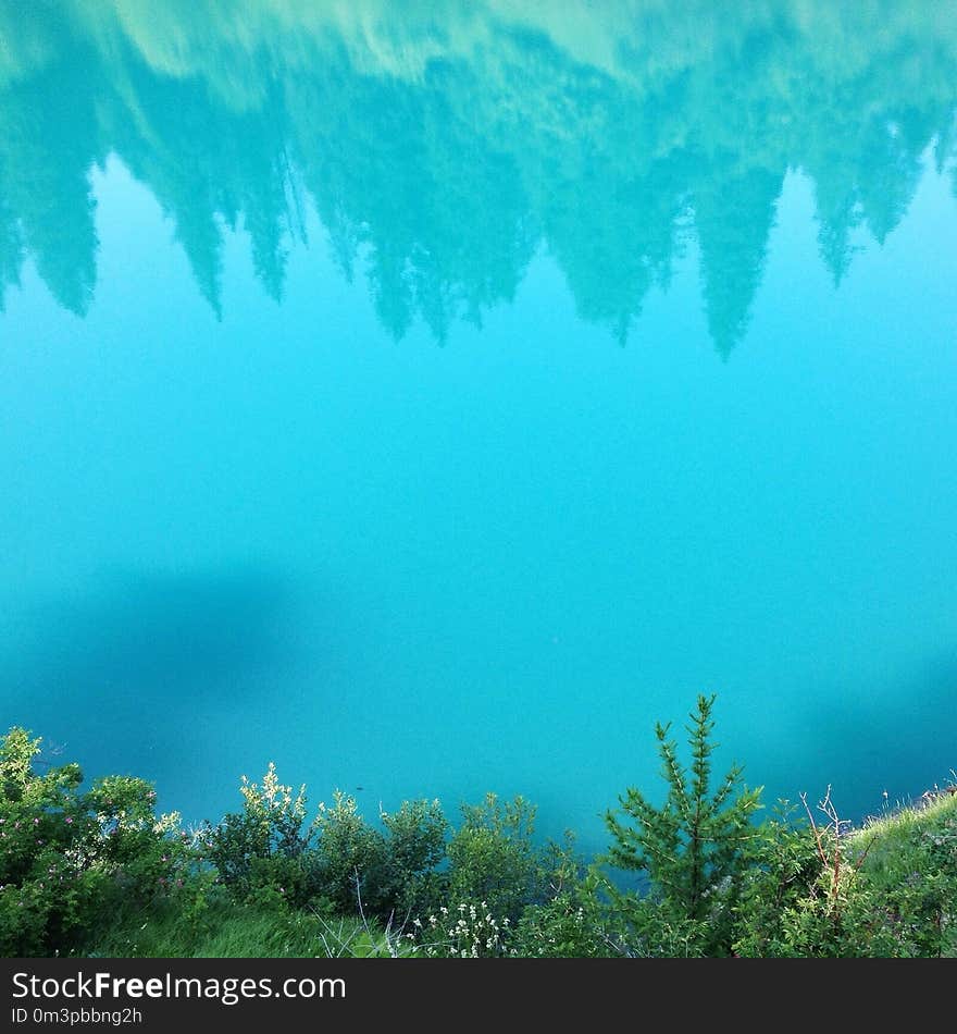 Ecosystem, Vegetation, Sky, Water