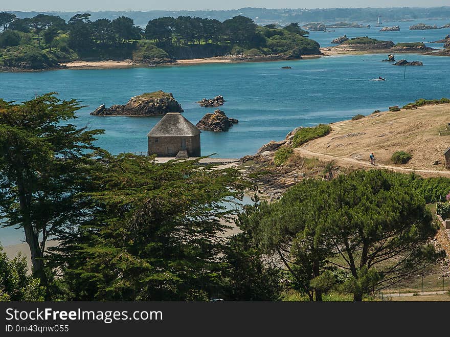 Coast, Sea, Tree, Promontory