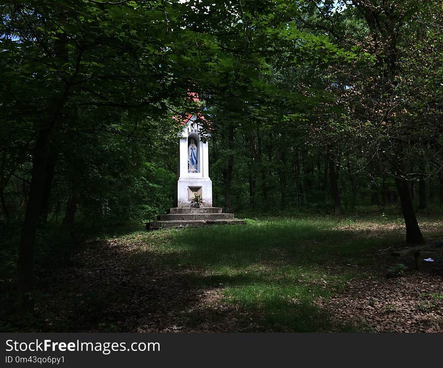 Tree, Woodland, Path, Monument