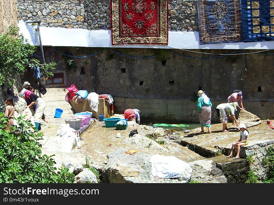 Plant, Tourism, Temple, Recreation