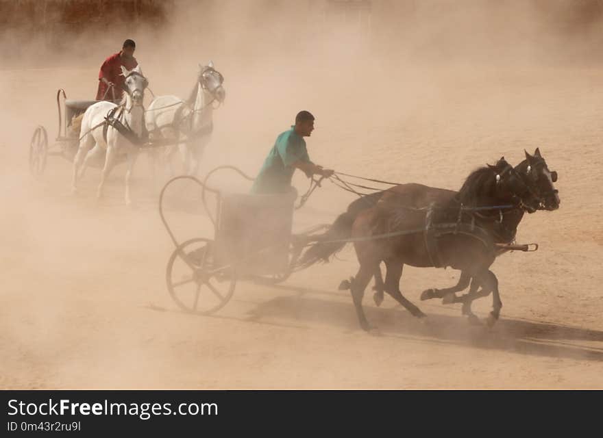 Horse Harness, Chariot, Mode Of Transport, Rein