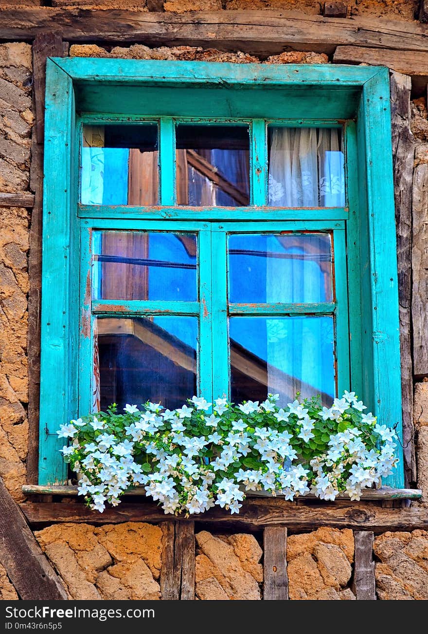 Blue, Green, Window, Flower