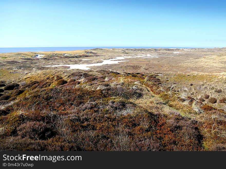 Ecosystem, Shrubland, Badlands, Coast