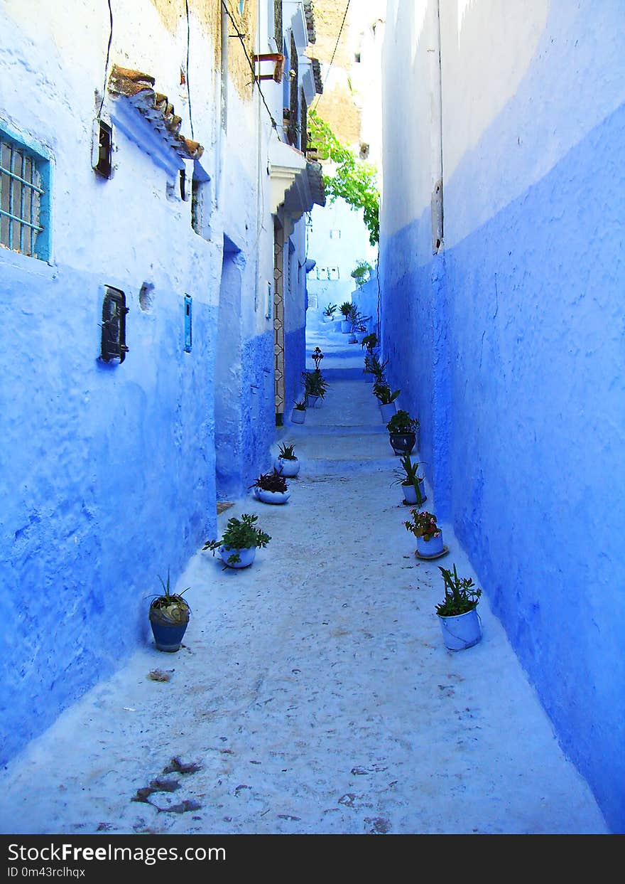 Blue, Alley, Wall, Snow