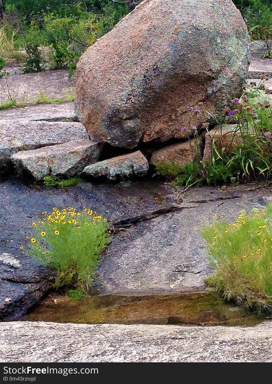 Rock, Boulder, Vegetation, Bedrock