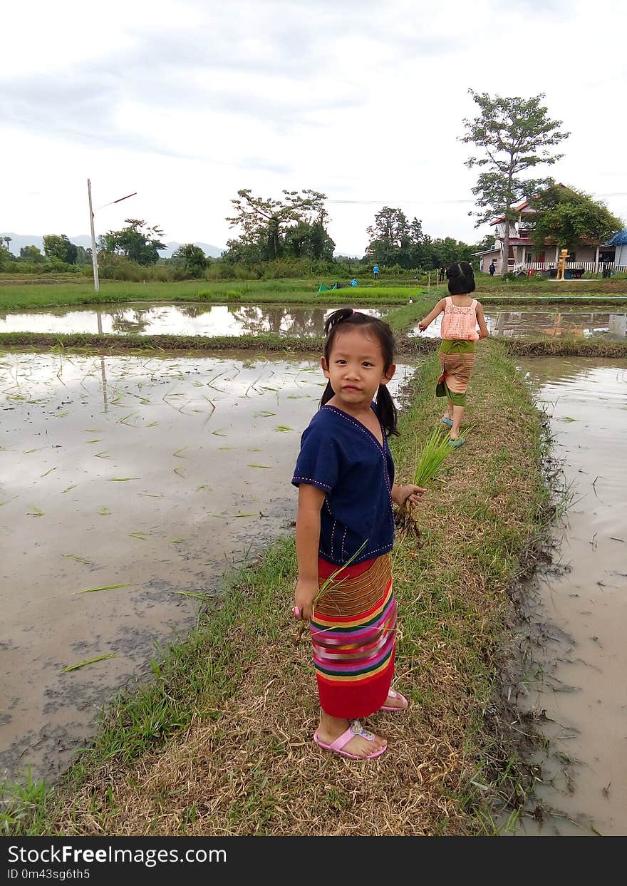 Water, Vacation, Child, Tree