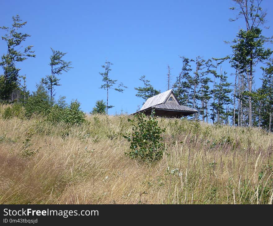 Ecosystem, Sky, Nature Reserve, Wilderness