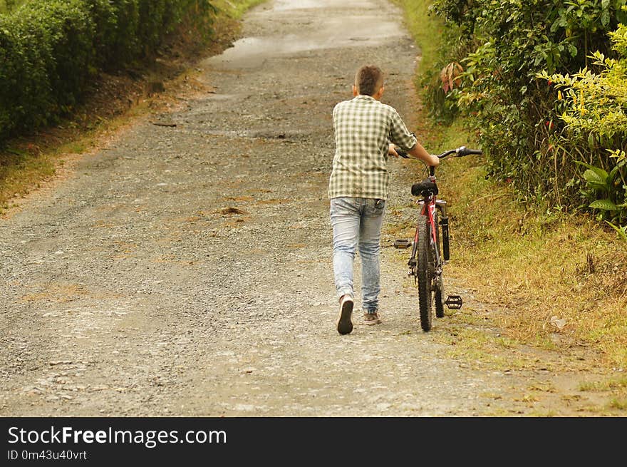 Land Vehicle, Path, Bicycle, Road