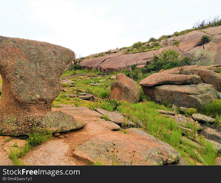 Rock, Vegetation, Nature Reserve, Bedrock