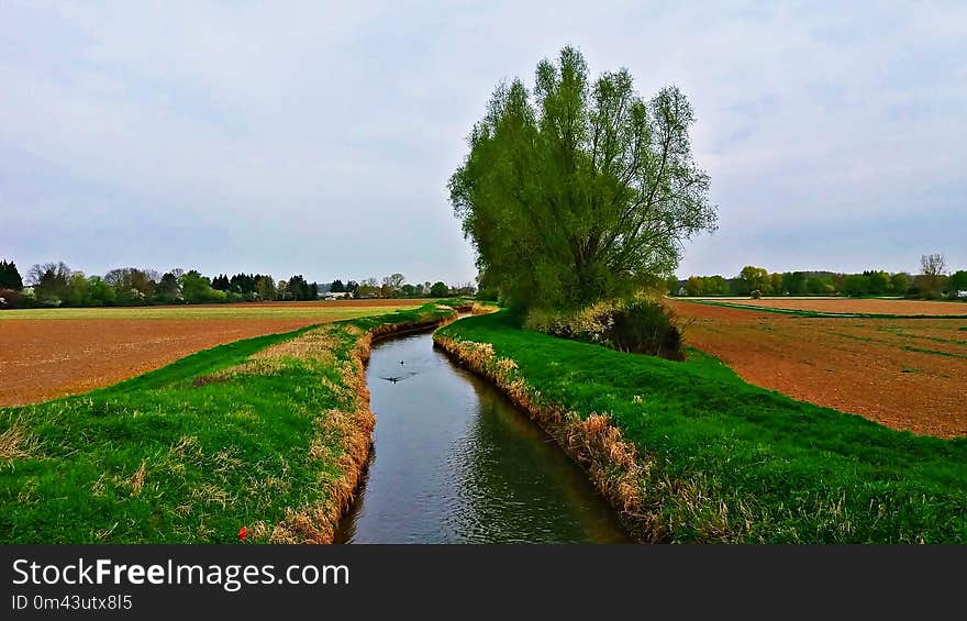 Waterway, Field, Bank, Nature Reserve