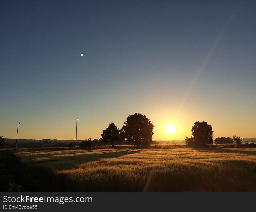 Sky, Field, Horizon, Dawn