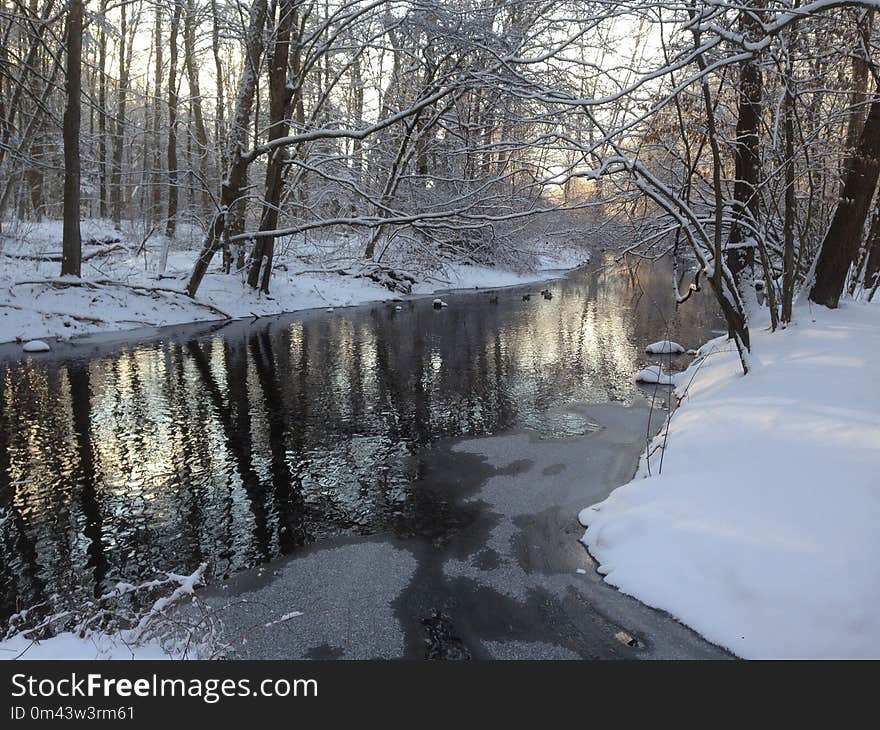 Snow, Water, Reflection, Winter