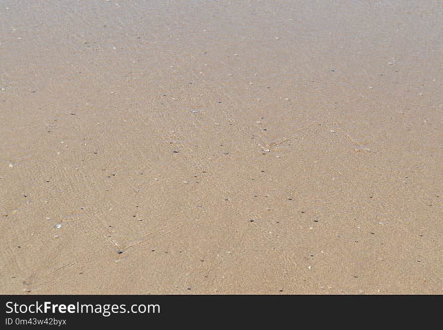 Sand, Soil, Ecoregion, Sky